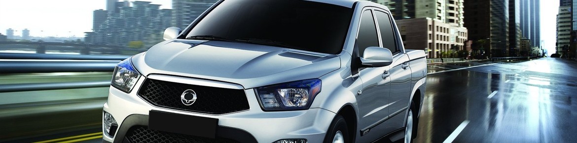 Chiptuning DrakeBox Ssangyong Rexton 2.7 XDI 163 pk